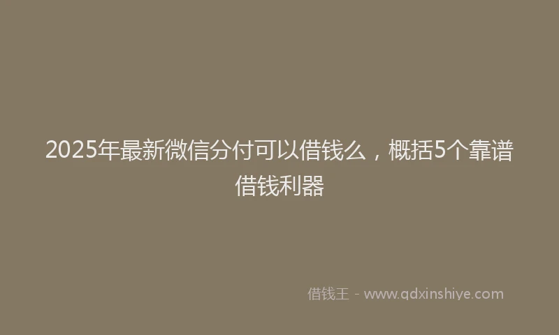 2025年最新微信分付可以借钱么，概括5个靠谱借钱利器