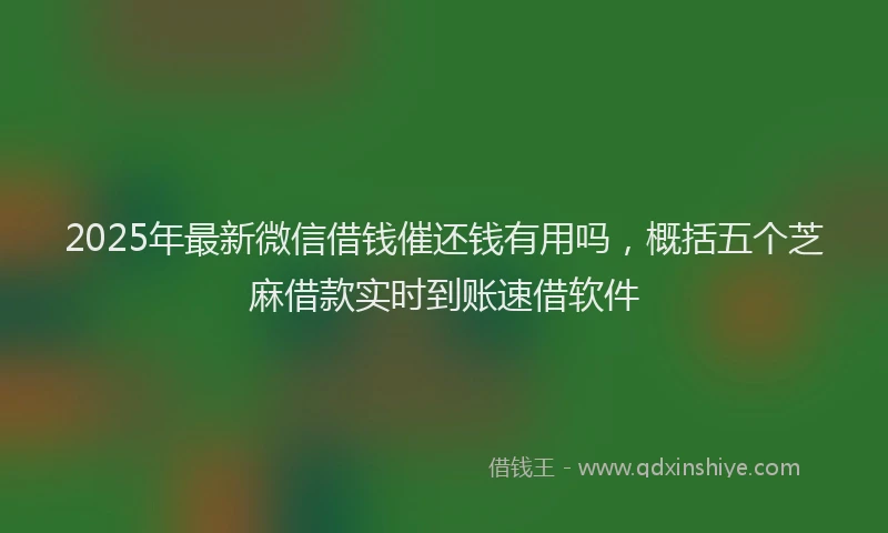 2025年最新微信借钱催还钱有用吗，概括五个芝麻借款实时到账速借软件