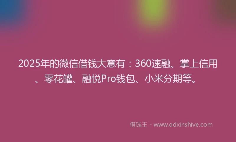2025年的微信借钱大意有：360速融、掌上信用、零花罐、融悦Pro钱包、小米分期等。