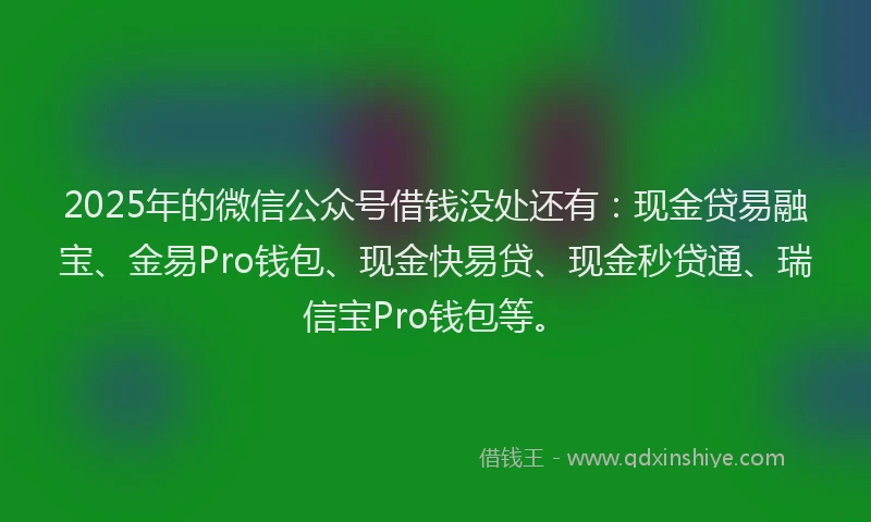 2025年的微信公众号借钱没处还有：现金贷易融宝、金易Pro钱包、现金快易贷、现金秒贷通、瑞信宝Pro钱包等。