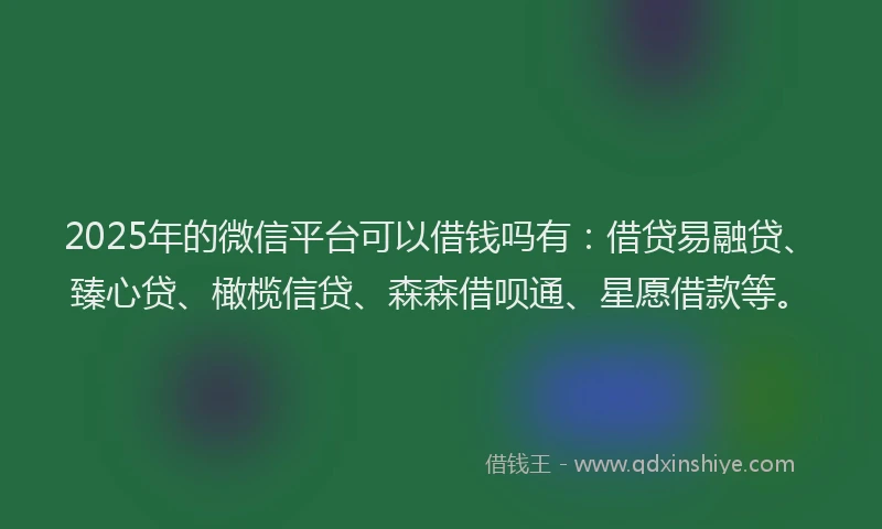 2025年的微信平台可以借钱吗有：借贷易融贷、臻心贷、橄榄信贷、森森借呗通、星愿借款等。