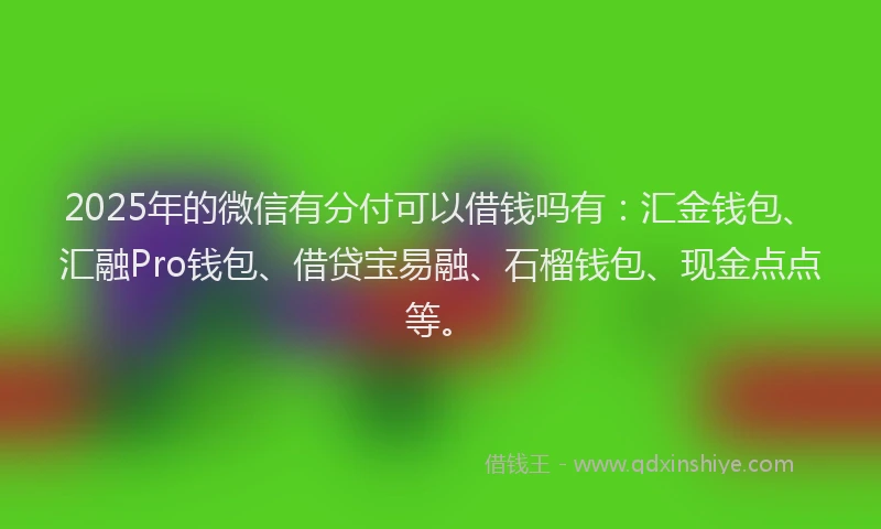 2025年的微信有分付可以借钱吗有：汇金钱包、汇融Pro钱包、借贷宝易融、石榴钱包、现金点点等。