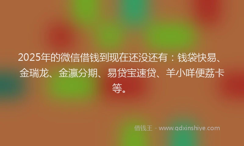 2025年的微信借钱到现在还没还有：钱袋快易、金瑞龙、金瀛分期、易贷宝速贷、羊小咩便荔卡等。
