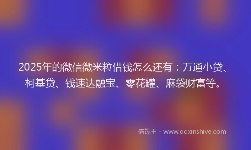 2025年的微信微米粒借钱怎么还有：万通小贷、柯基贷、钱速达融宝、零花罐、麻袋财富等。