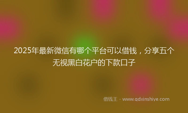 2025年最新微信有哪个平台可以借钱，分享五个无视黑白花户的下款口子