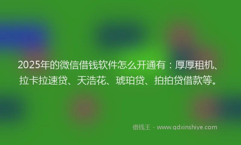 2025年的微信借钱软件怎么开通有：厚厚租机、拉卡拉速贷、天浩花、琥珀贷、拍拍贷借款等。