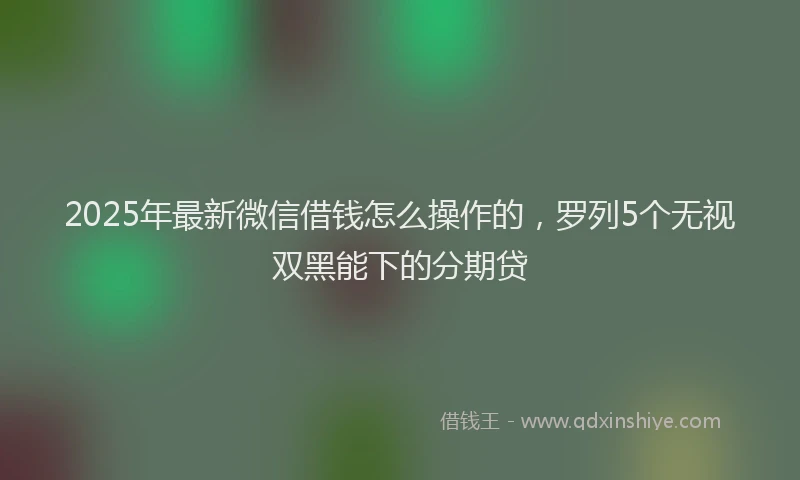 2025年最新微信借钱怎么操作的，罗列5个无视双黑能下的分期贷
