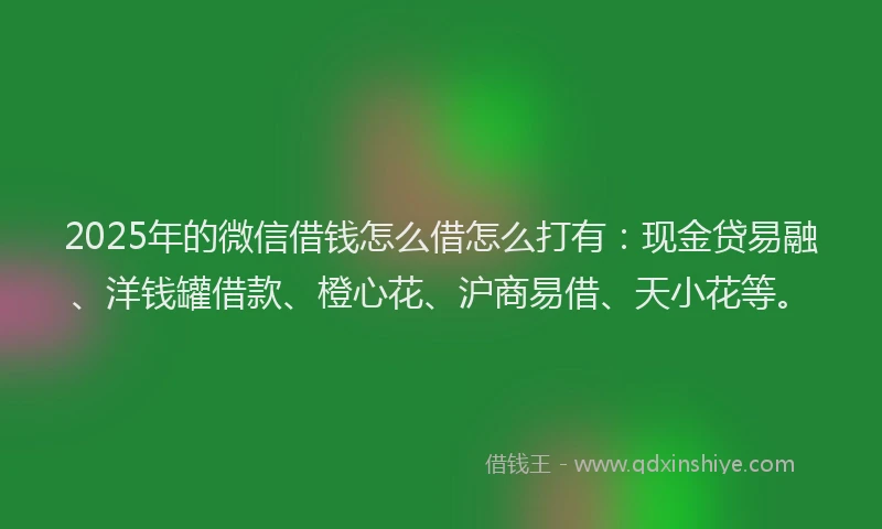 2025年的微信借钱怎么借怎么打有：现金贷易融、洋钱罐借款、橙心花、沪商易借、天小花等。