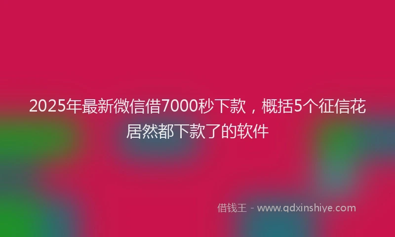 2025年最新微信借7000秒下款，概括5个征信花居然都下款了的软件