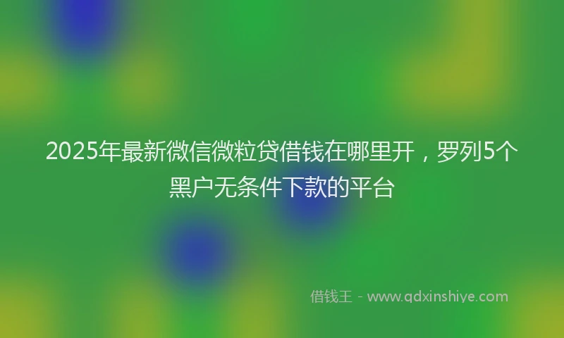 2025年最新微信微粒贷借钱在哪里开，罗列5个黑户无条件下款的平台