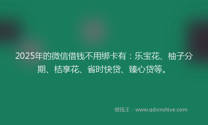 2025年的微信借钱不用绑卡有：乐宝花、柚子分期、桔享花、省时快贷、臻心贷等。