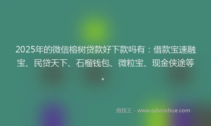 2025年的微信榕树贷款好下款吗有：借款宝速融宝、民贷天下、石榴钱包、微粒宝、现金侠途等。