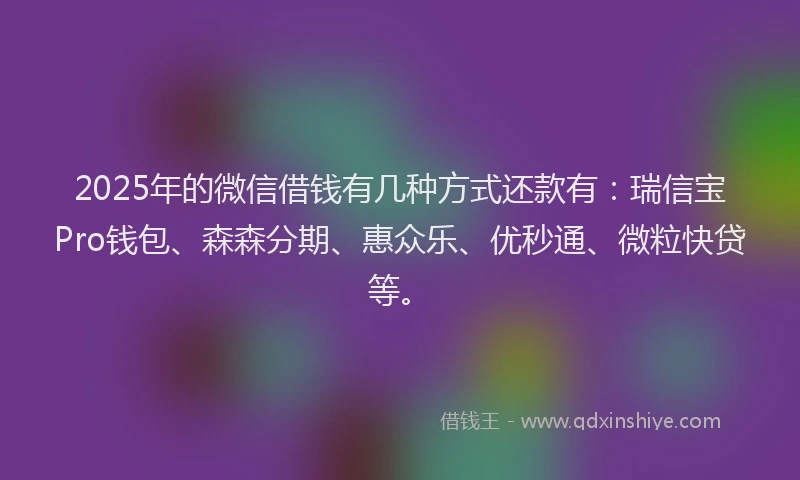 2025年的微信借钱有几种方式还款有：瑞信宝Pro钱包、森森分期、惠众乐、优秒通、微粒快贷等。