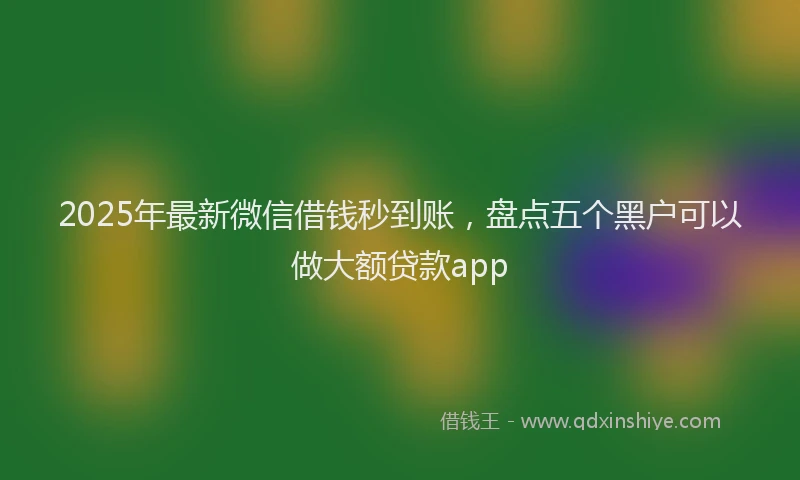 2025年最新微信借钱秒到账，盘点五个黑户可以做大额贷款app