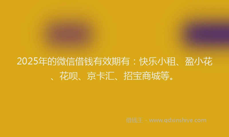 2025年的微信借钱有效期有：快乐小租、盈小花、花呗、京卡汇、招宝商城等。
