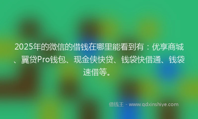 2025年的微信的借钱在哪里能看到有：优享商城、翼贷Pro钱包、现金侠快贷、钱袋快借通、钱袋速借等。