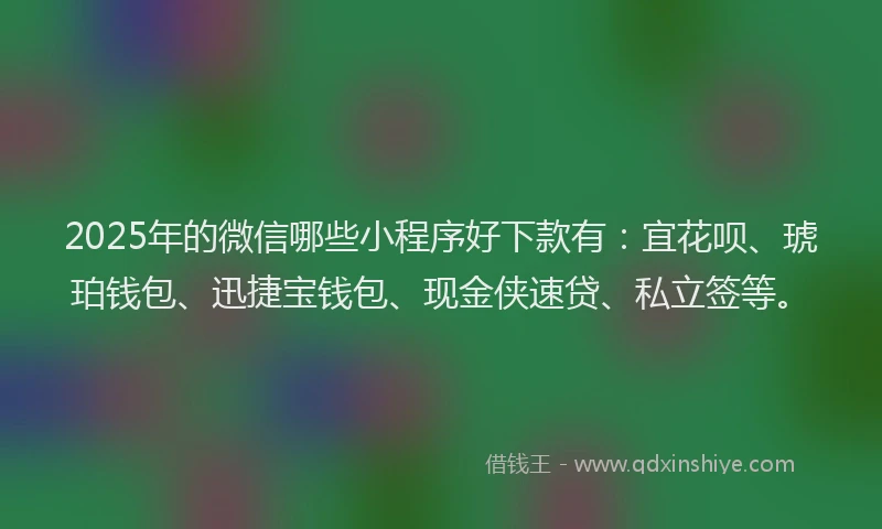 2025年的微信哪些小程序好下款有：宜花呗、琥珀钱包、迅捷宝钱包、现金侠速贷、私立签等。