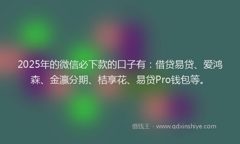 2025年的微信必下款的口子有：借贷易贷、爱鸿森、金瀛分期、桔享花、易贷Pro钱包等。