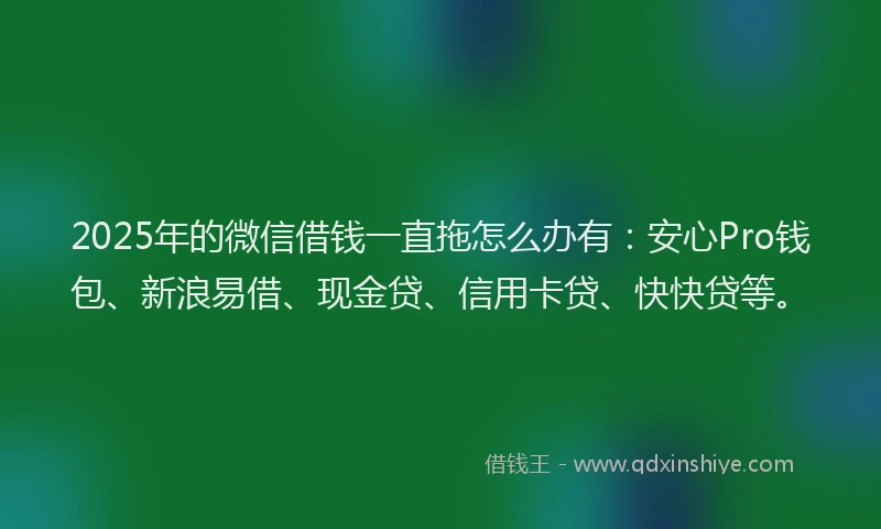 2025年的微信借钱一直拖怎么办有：安心Pro钱包、新浪易借、现金贷、信用卡贷、快快贷等。