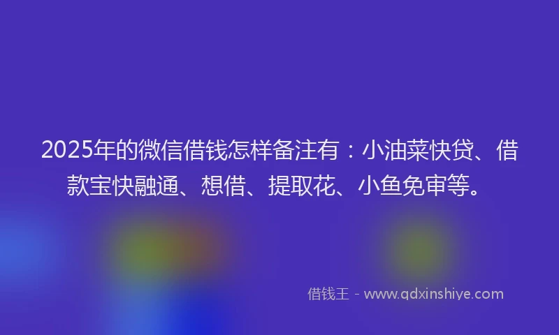 2025年的微信借钱怎样备注有：小油菜快贷、借款宝快融通、想借、提取花、小鱼免审等。