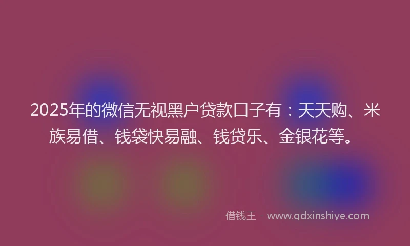 2025年的微信无视黑户贷款口子有：天天购、米族易借、钱袋快易融、钱贷乐、金银花等。