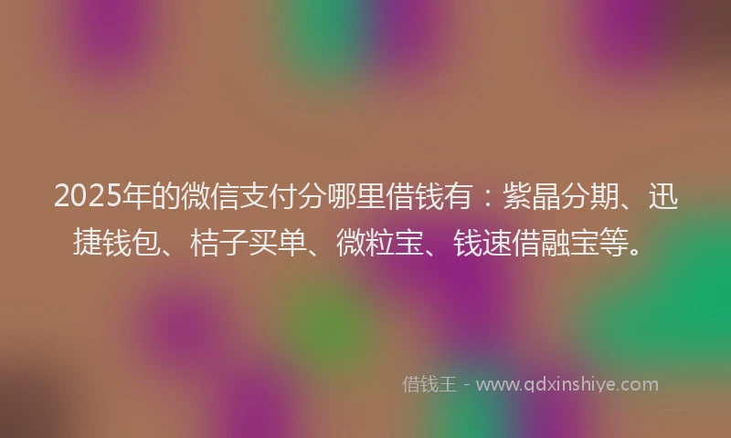 2025年的微信支付分哪里借钱有：紫晶分期、迅捷钱包、桔子买单、微粒宝、钱速借融宝等。