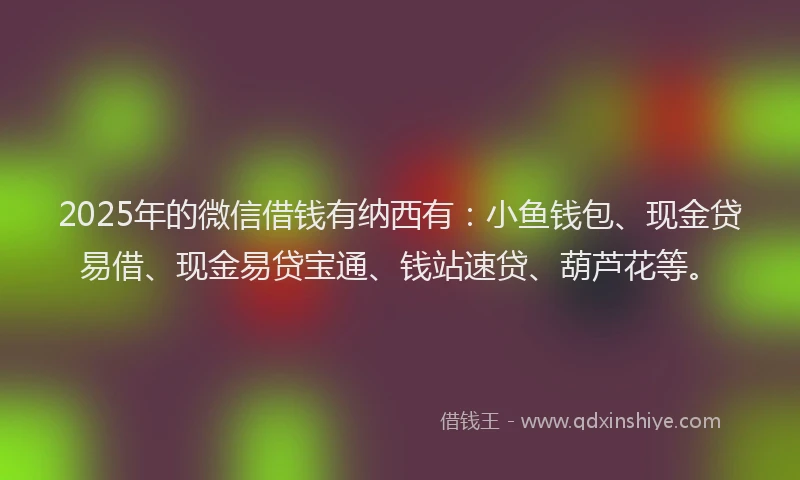 2025年的微信借钱有纳西有：小鱼钱包、现金贷易借、现金易贷宝通、钱站速贷、葫芦花等。