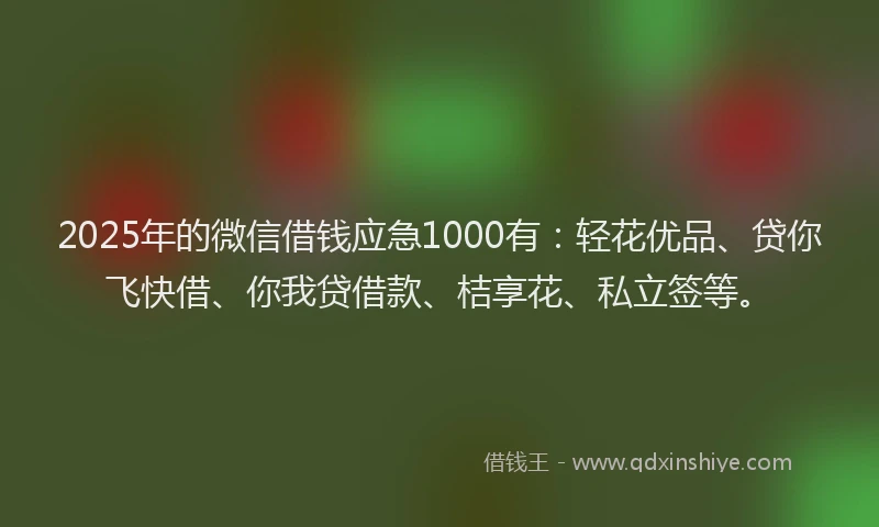 2025年的微信借钱应急1000有：轻花优品、贷你飞快借、你我贷借款、桔享花、私立签等。