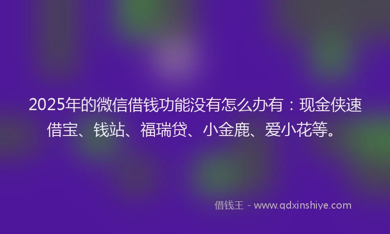 2025年的微信借钱功能没有怎么办有：现金侠速借宝、钱站、福瑞贷、小金鹿、爱小花等。