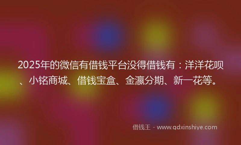 2025年的微信有借钱平台没得借钱有：洋洋花呗、小铭商城、借钱宝盒、金瀛分期、新一花等。