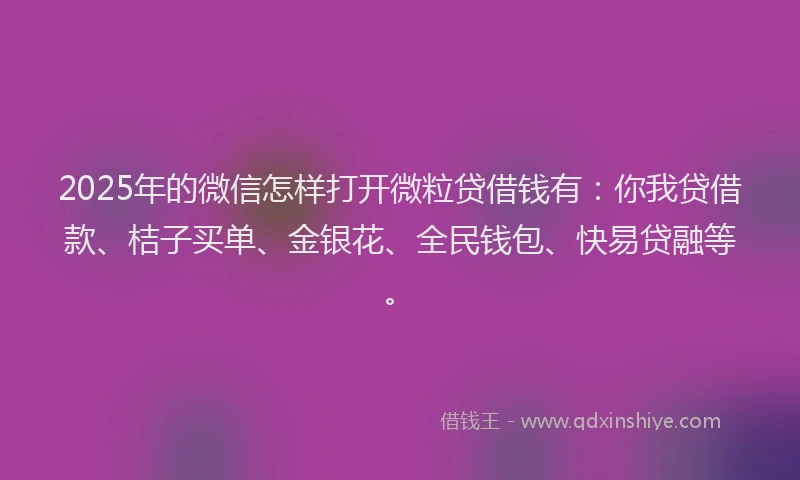 2025年的微信怎样打开微粒贷借钱有：你我贷借款、桔子买单、金银花、全民钱包、快易贷融等。