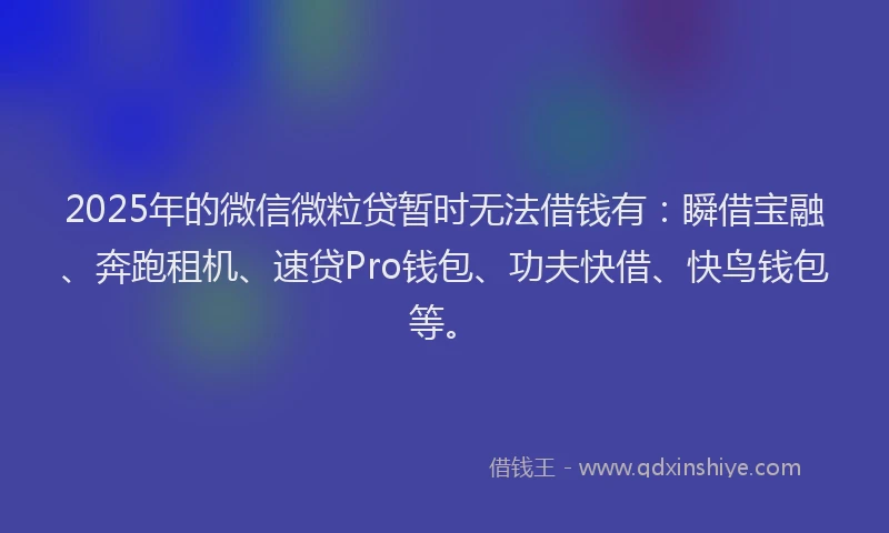 2025年的微信微粒贷暂时无法借钱有：瞬借宝融、奔跑租机、速贷Pro钱包、功夫快借、快鸟钱包等。