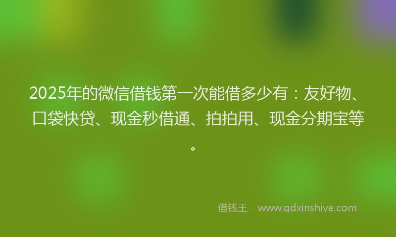 2025年的微信借钱第一次能借多少有：友好物、口袋快贷、现金秒借通、拍拍用、现金分期宝等。