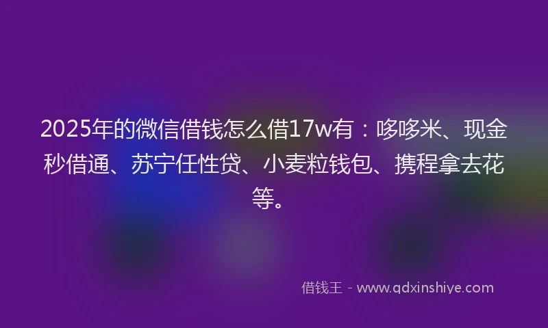 2025年的微信借钱怎么借17w有：哆哆米、现金秒借通、苏宁任性贷、小麦粒钱包、携程拿去花等。