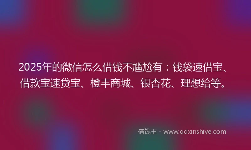 2025年的微信怎么借钱不尴尬有：钱袋速借宝、借款宝速贷宝、橙丰商城、银杏花、理想给等。