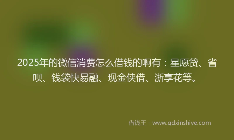 2025年的微信消费怎么借钱的啊有：星愿贷、省呗、钱袋快易融、现金侠借、浙享花等。