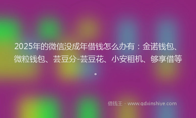 2025年的微信没成年借钱怎么办有：金诺钱包、微粒钱包、芸豆分-芸豆花、小安租机、够享借等。