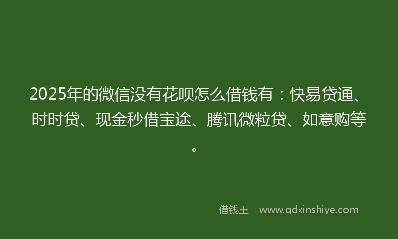2025年的微信没有花呗怎么借钱有：快易贷通、时时贷、现金秒借宝途、腾讯微粒贷、如意购等。