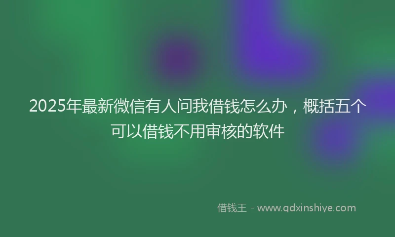 2025年最新微信有人问我借钱怎么办，概括五个可以借钱不用审核的软件
