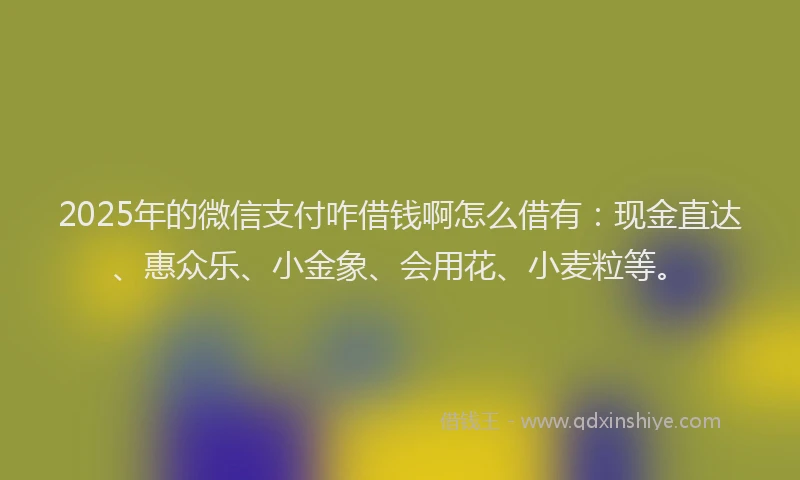 2025年的微信支付咋借钱啊怎么借有：现金直达、惠众乐、小金象、会用花、小麦粒等。
