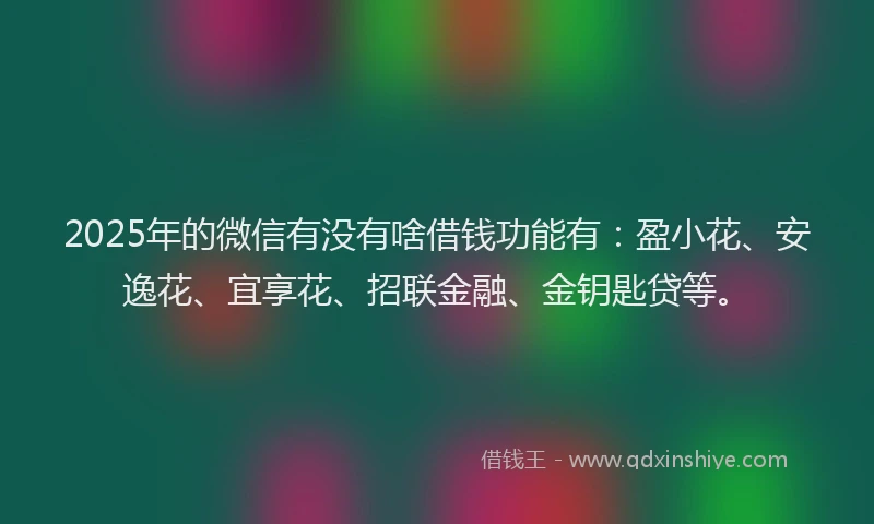2025年的微信有没有啥借钱功能有：盈小花、安逸花、宜享花、招联金融、金钥匙贷等。