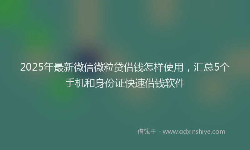 2025年最新微信微粒贷借钱怎样使用，汇总5个手机和身份证快速借钱软件