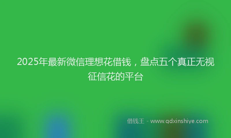 2025年最新微信理想花借钱，盘点五个真正无视征信花的平台