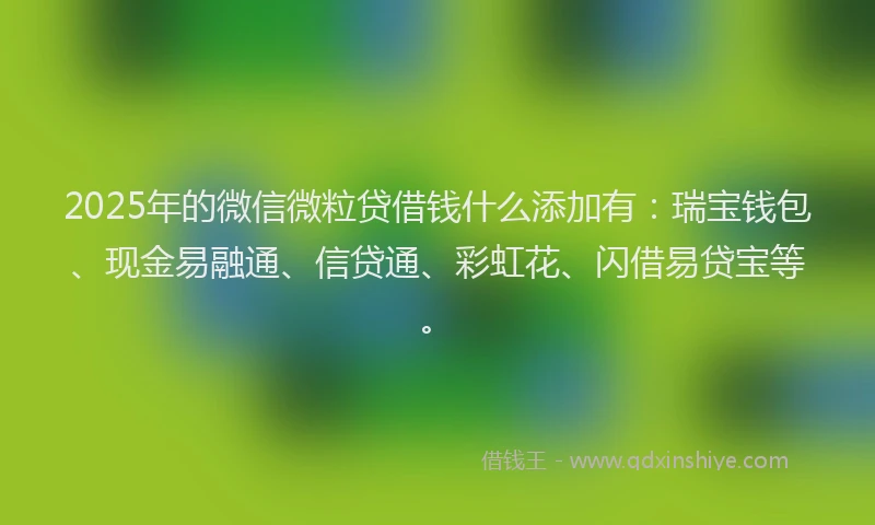 2025年的微信微粒贷借钱什么添加有：瑞宝钱包、现金易融通、信贷通、彩虹花、闪借易贷宝等。