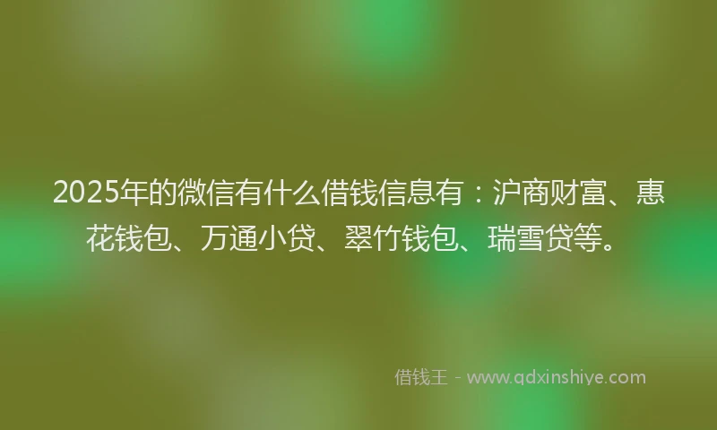2025年的微信有什么借钱信息有：沪商财富、惠花钱包、万通小贷、翠竹钱包、瑞雪贷等。