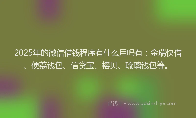 2025年的微信借钱程序有什么用吗有：金瑞快借、便荔钱包、信贷宝、榕贝、琉璃钱包等。