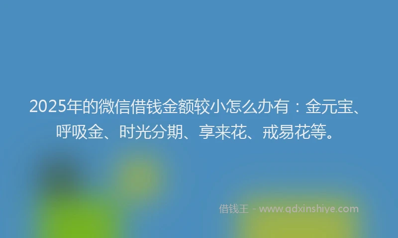 2025年的微信借钱金额较小怎么办有：金元宝、呼吸金、时光分期、享来花、戒易花等。