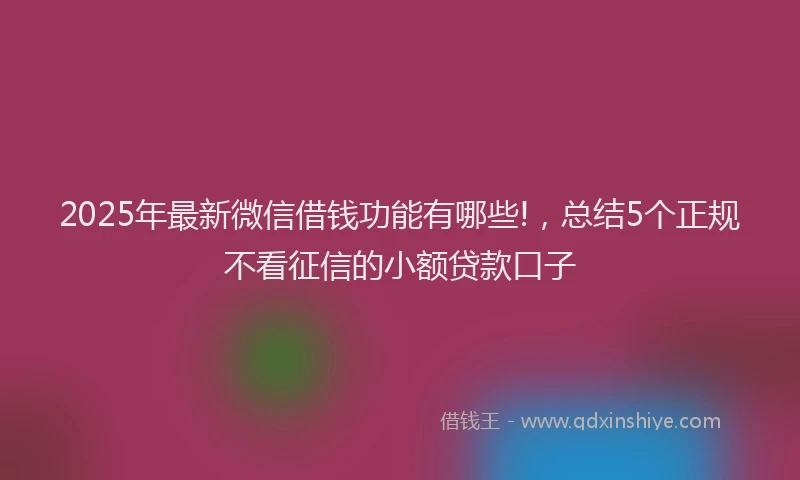 2025年最新微信借钱功能有哪些!，总结5个正规不看征信的小额贷款口子