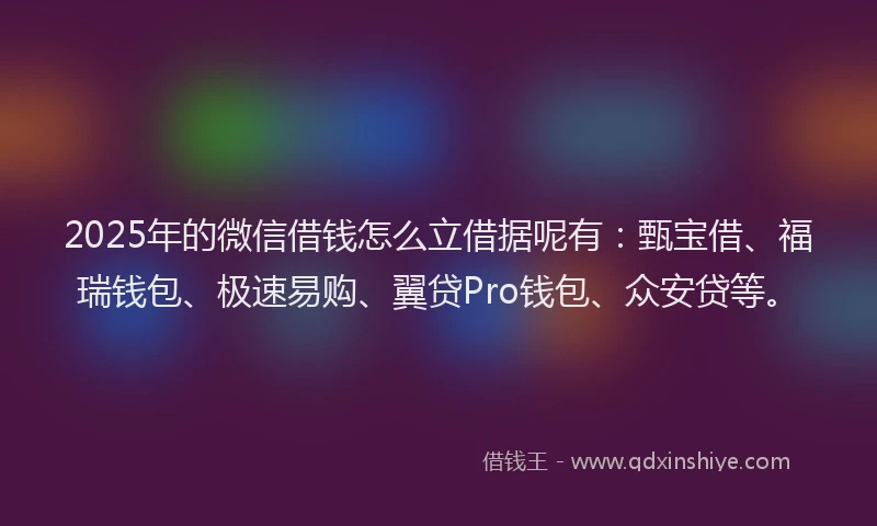 2025年的微信借钱怎么立借据呢有：甄宝借、福瑞钱包、极速易购、翼贷Pro钱包、众安贷等。