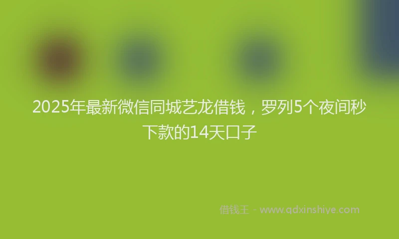 2025年最新微信同城艺龙借钱，罗列5个夜间秒下款的14天口子